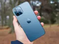 En hand håller en blå iPhone 12 Pro Max. Dess storlek är perfekt för att fånga höstens färger i bakgrunden.