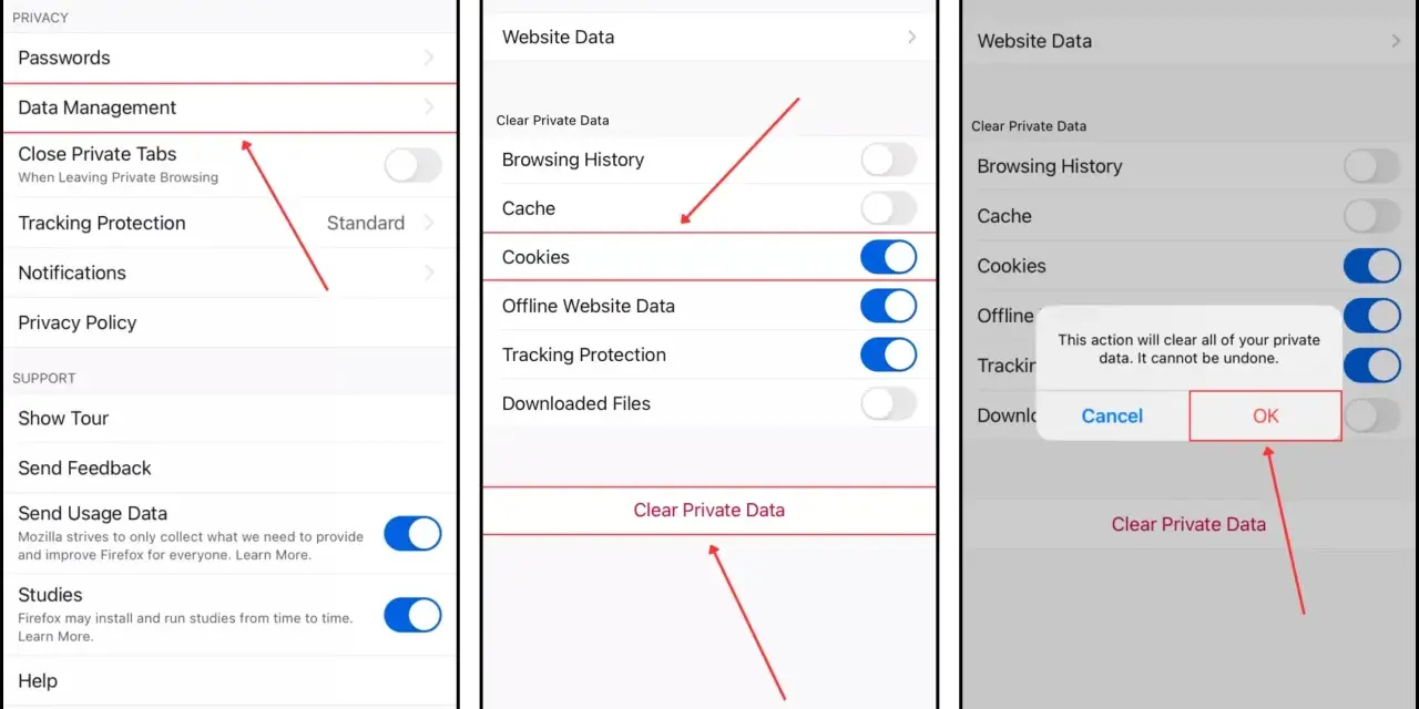 Inställningar för att rensa cache på iPhone. Välj "Data Management" och sedan "Clear Private Data" för att rensa.