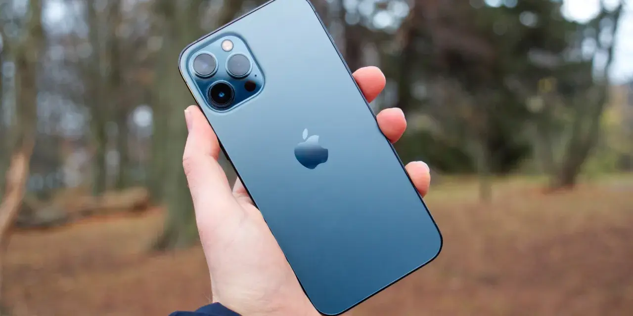 En hand håller en blå iPhone 12 Pro Max. Dess storlek är perfekt för att fånga höstens färger i bakgrunden.