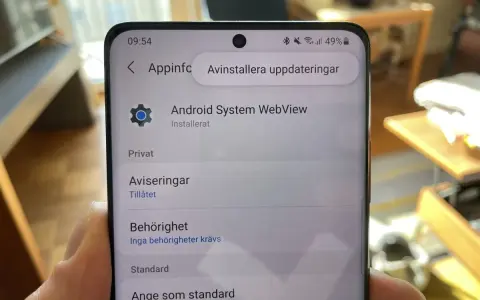 Telefonens skärm visar inställningar för Android System WebView. Kanske behöver du starta om Android för att uppdateringarna ska fungera.