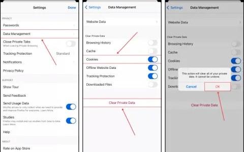 Inställningar för att rensa cache på iPhone. Välj "Data Management" och sedan "Clear Private Data" för att rensa.
