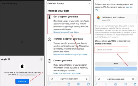 Här visas hur du kan ladda ner bilder från iPhone. Välj att begära en kopia av din data eller överföra den till en annan tjänst.