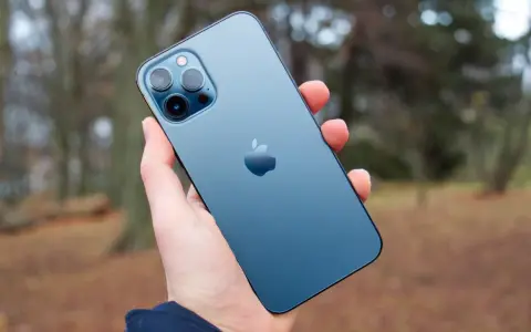 En hand håller en blå iPhone 12 Pro Max. Dess storlek är perfekt för att fånga höstens färger i bakgrunden.