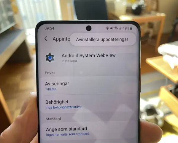 Telefonens skärm visar inställningar för Android System WebView. Kanske behöver du starta om Android för att uppdateringarna ska fungera.