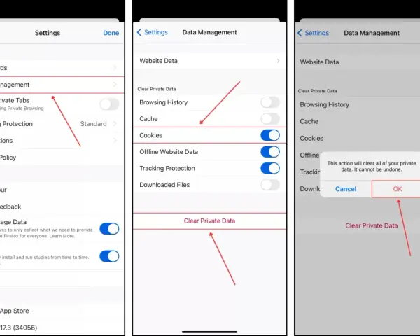 Inställningar för att rensa cache på iPhone. Välj "Data Management" och sedan "Clear Private Data" för att rensa.