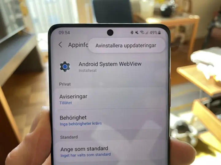 Telefonens skärm visar inställningar för Android System WebView. Kanske behöver du starta om Android för att uppdateringarna ska fungera.
