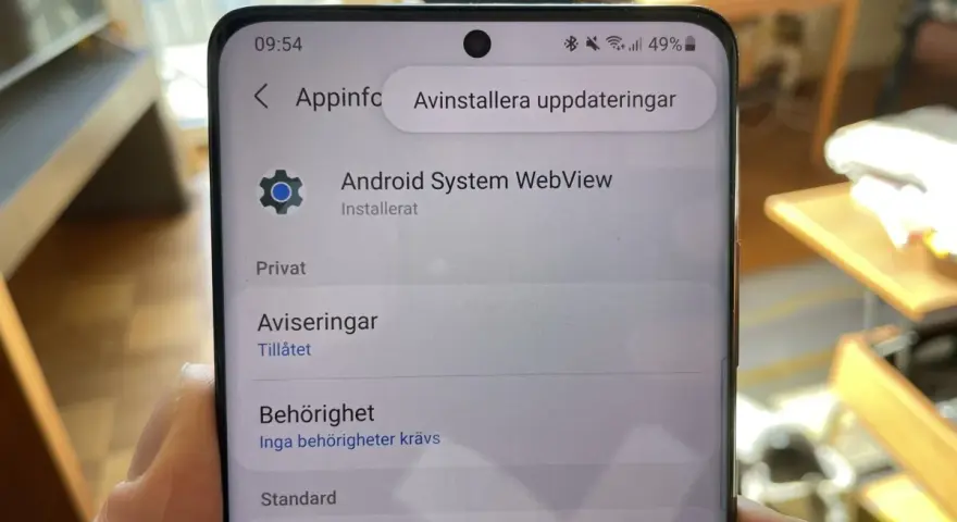Telefonens skärm visar inställningar för Android System WebView. Kanske behöver du starta om Android för att uppdateringarna ska fungera.