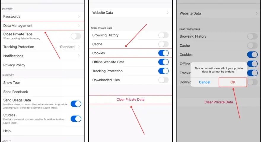 Inställningar för att rensa cache på iPhone. Välj "Data Management" och sedan "Clear Private Data" för att rensa.