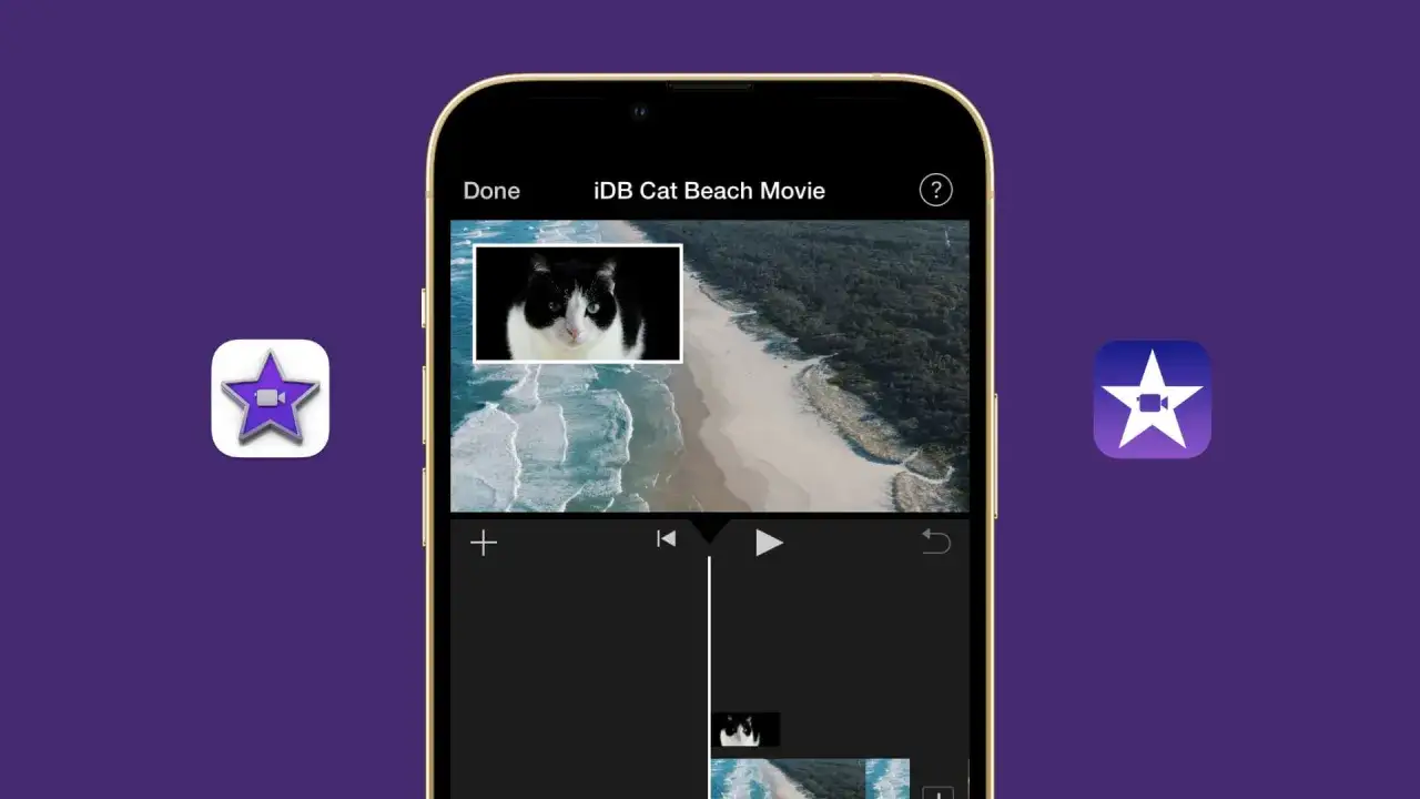 En bild i bild iPhone-vy visar en katt p&aring; en strandfilm. iMovie-ikonen syns bredvid.